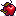 Wormy Apple